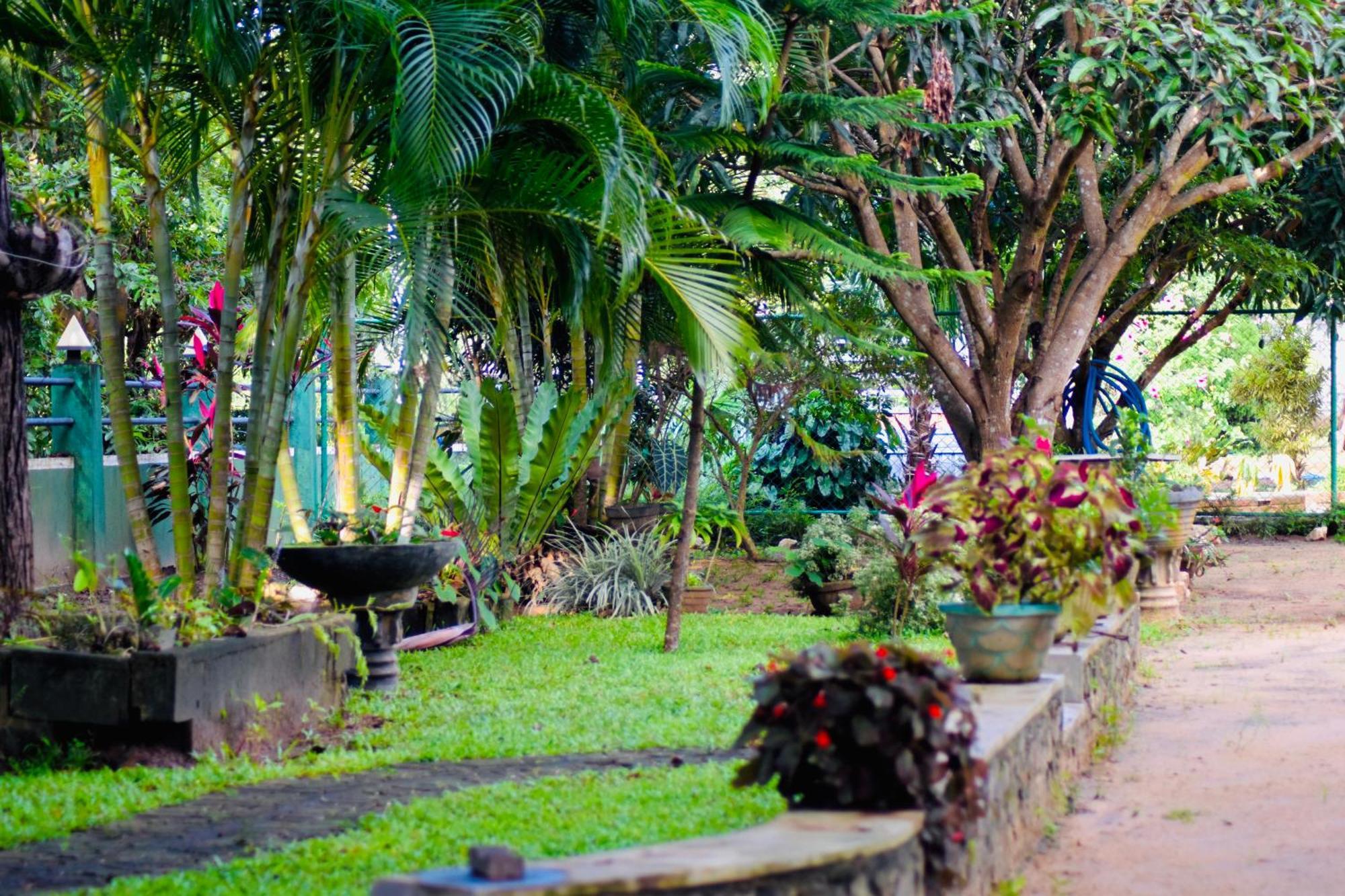 Sinhagiri Villa Sigirîya Extérieur photo