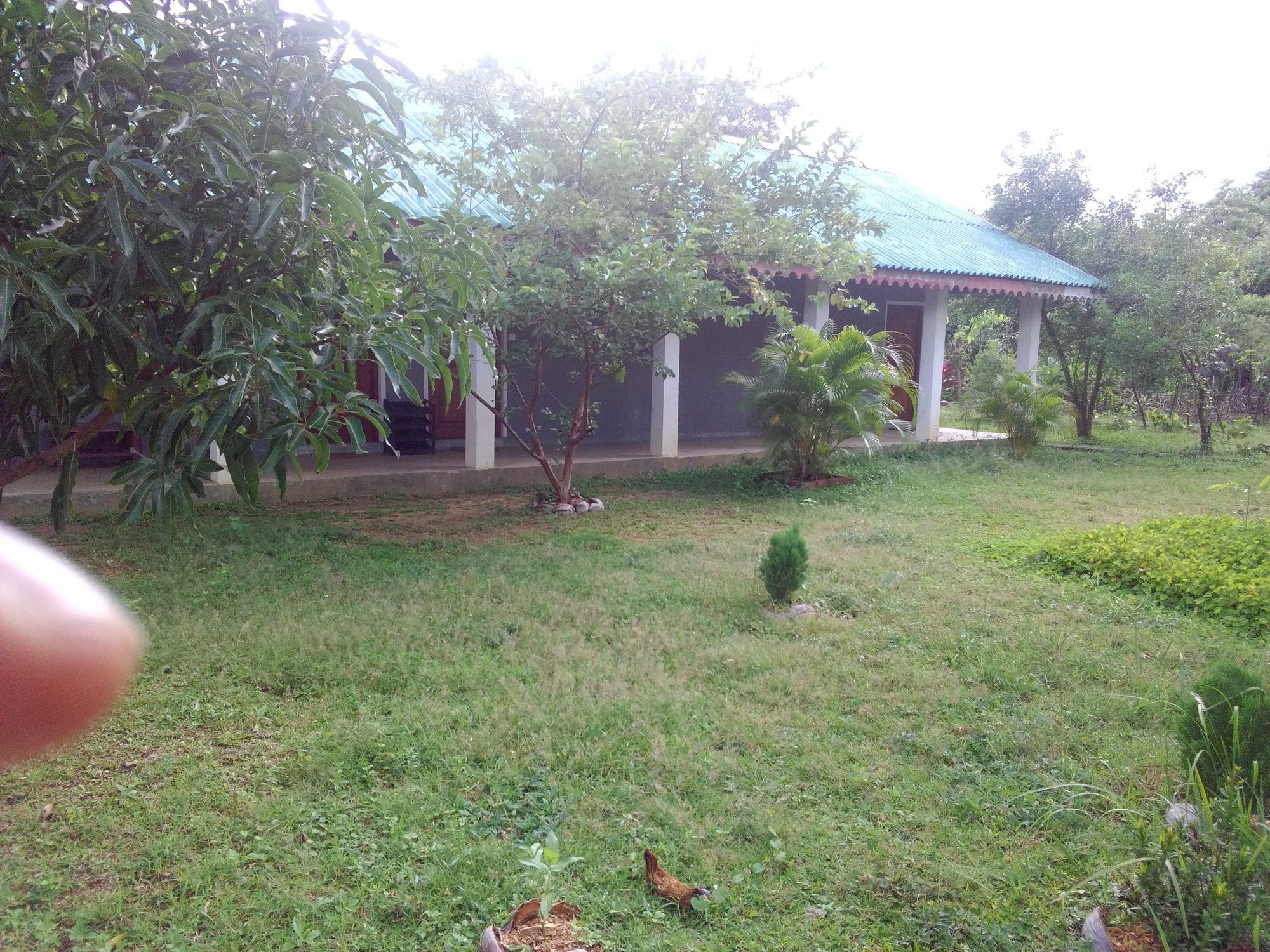 Sinhagiri Villa Sigirîya Extérieur photo