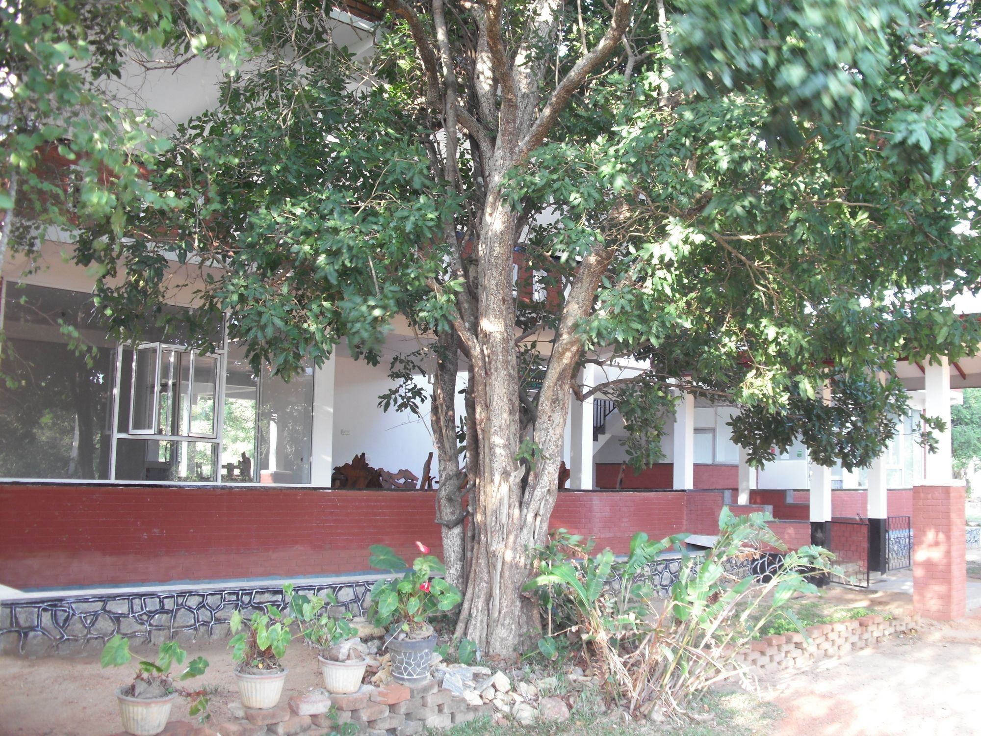 Sinhagiri Villa Sigirîya Extérieur photo