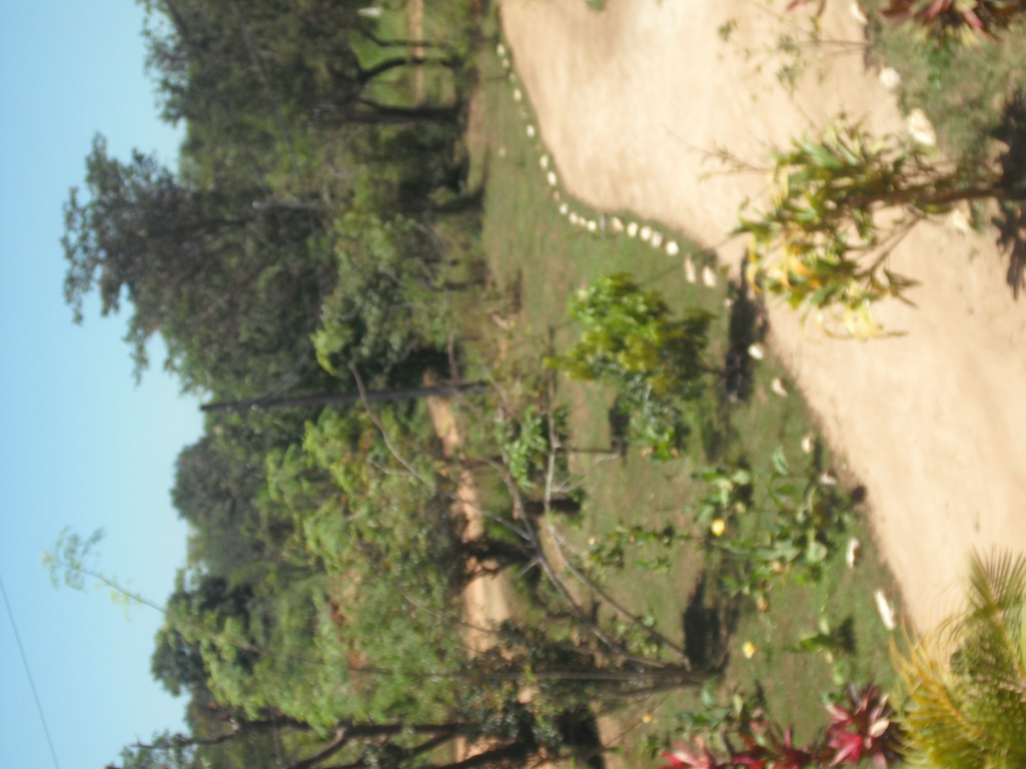 Sinhagiri Villa Sigirîya Extérieur photo